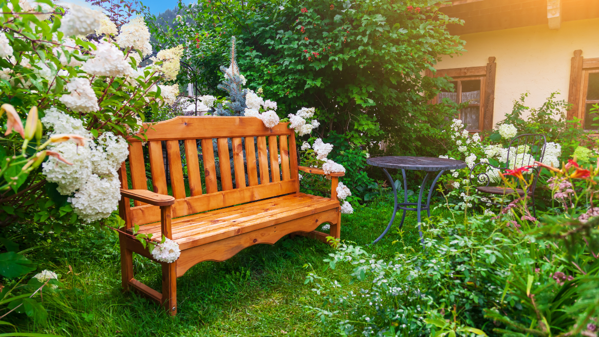 Back yard respite for peace and quiet - chair in backyard garden